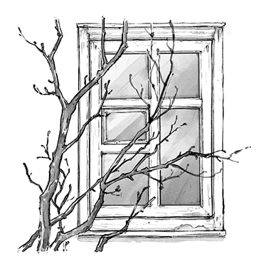 Иллюстрация к книге — Тайга заберет тебя [book-illustration-1.webp]