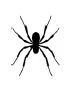 Иллюстрация к книге — Страсть обманет смерть [book-illustration-3.webp]