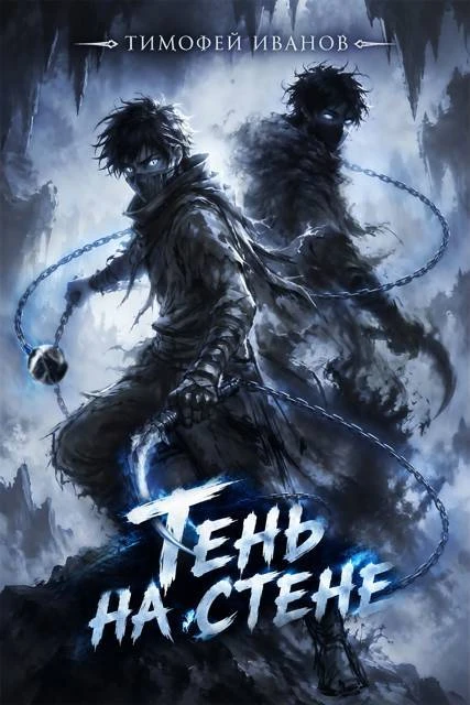 Книга Тень на стене