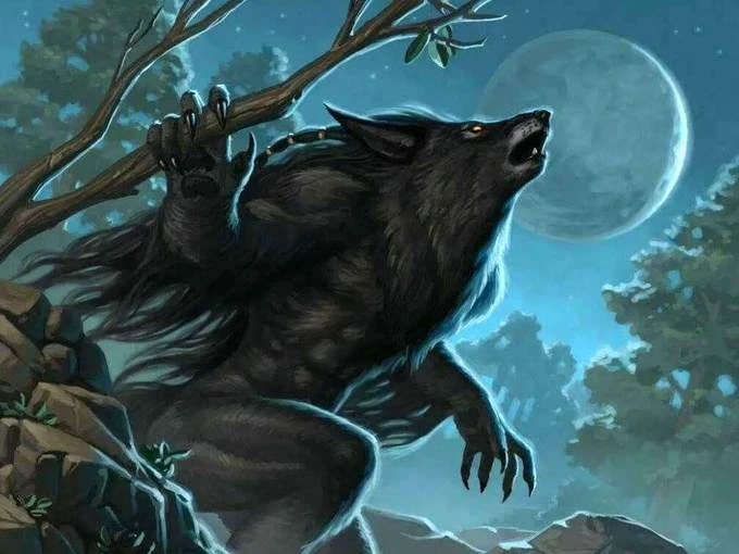 Иллюстрация к книге — Княжич [book-illustration-43.webp]