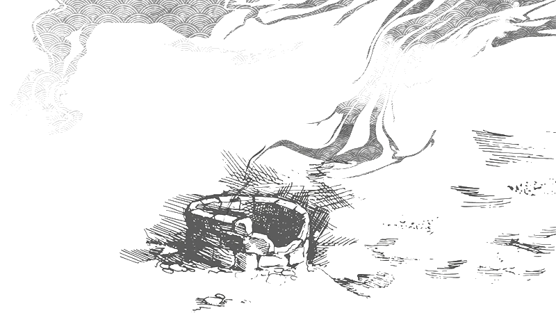 Иллюстрация к книге — Девушка из колодца [book-illustration-4.webp]