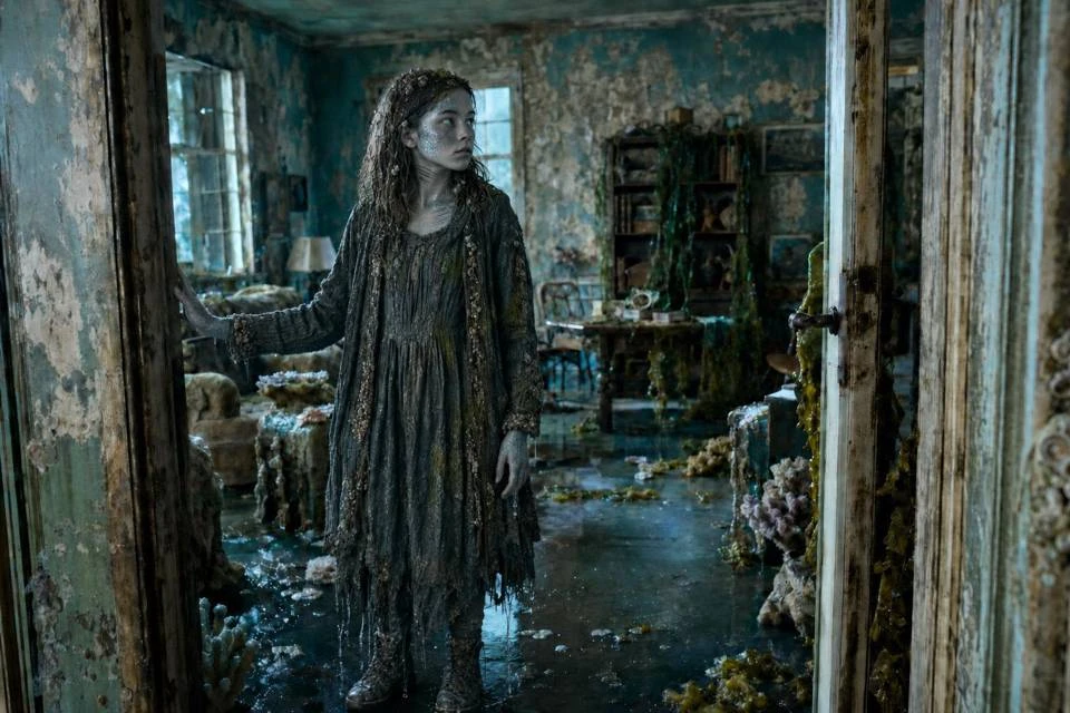 Иллюстрация к книге — Дворник 25-го уровня. Том 10 [book-illustration-16.webp]